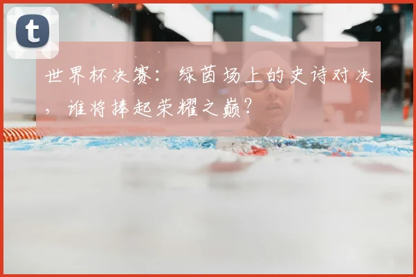 世界杯决赛:绿茵场上的史诗对决,谁将捧起荣耀之巅?